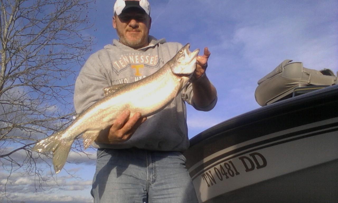 Cumberland River Striper Fishing Report