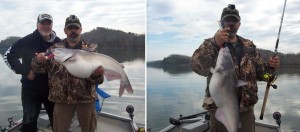 Tennessee River Monster March 2015